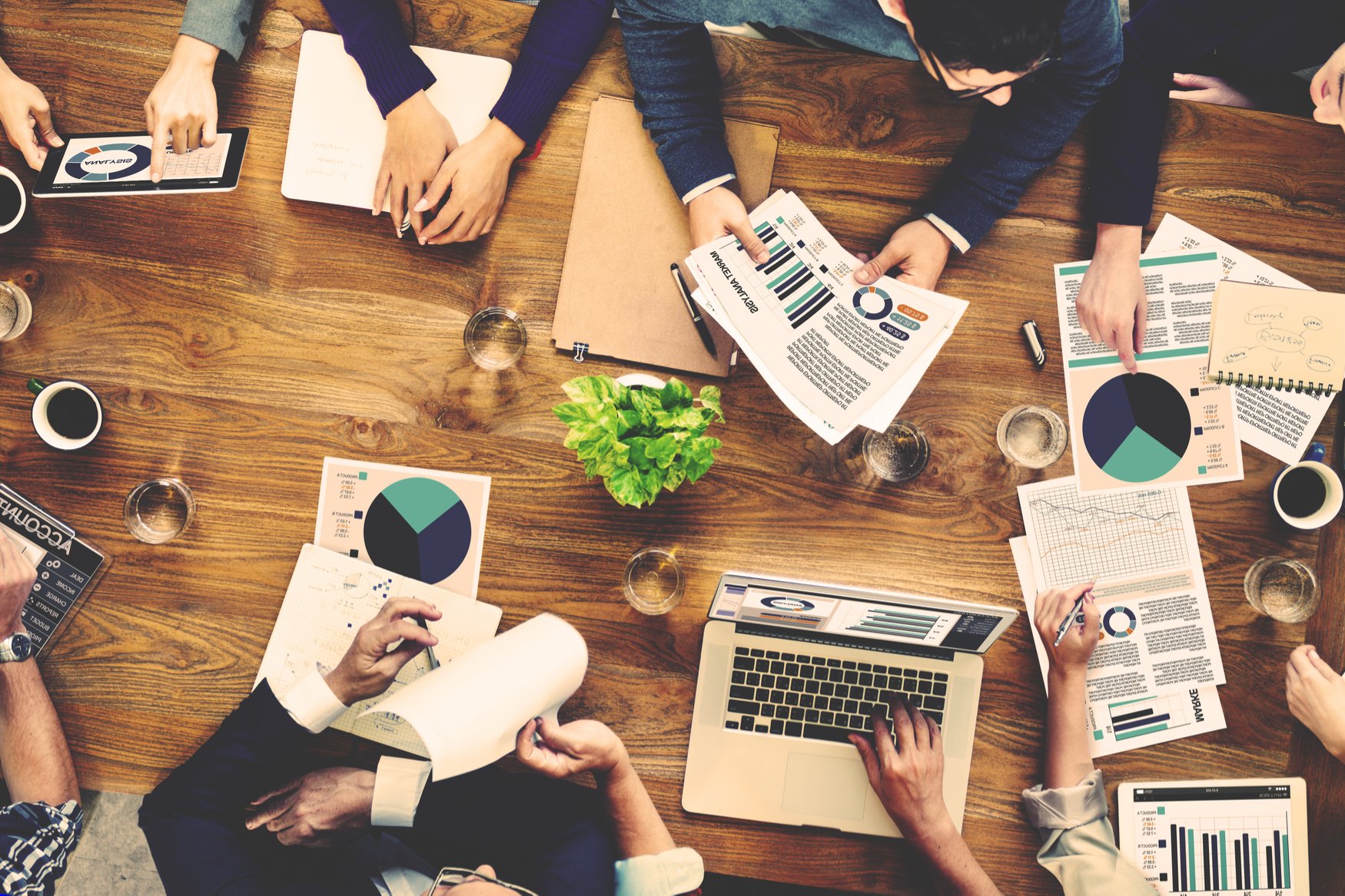 Staff for Sales and Marketing